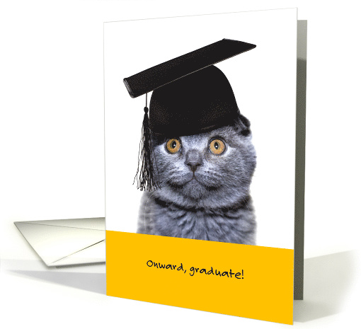 Funny Graduation Cat Onward Graduate card (1570610)