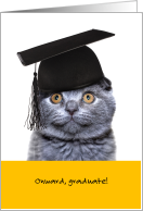 Funny Graduation Cat Onward Graduate card