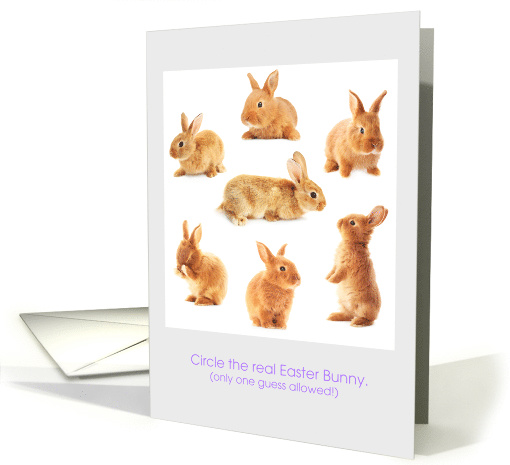 The Real Easter Bunny Puzzle card (1571690)
