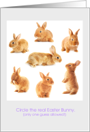 The Real Easter Bunny Puzzle card