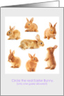 The Real Easter Bunny Puzzle card