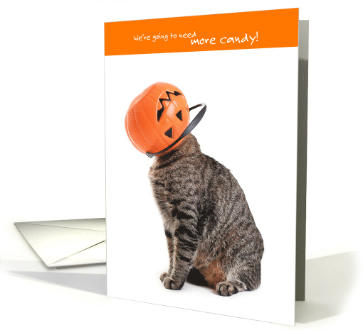 Funny Halloween Cat We're Going to Need More Candy card (1571918)