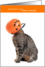 Funny Halloween Cat We’re Going to Need More Candy card