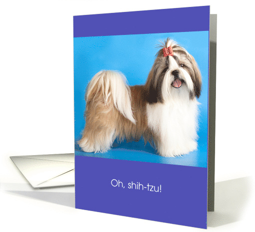 Funny Belated Birthday Oh Shi-tzu card (1572182)