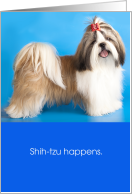 Funny Encouragement Shih tzu Happens card