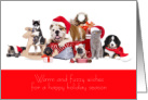 Happy Holidays from Veterinarian Warm and Fuzzy Wishes card