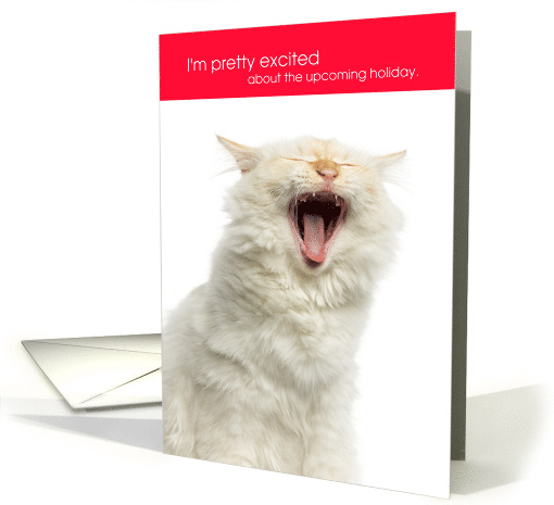 Funny Valentine Cat Pretty Excited About the Upcoming Holiday card