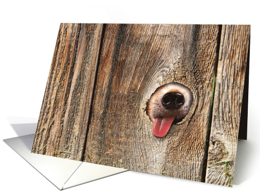 Sweetest Day Anything for your Kiss Pup card (1584856)