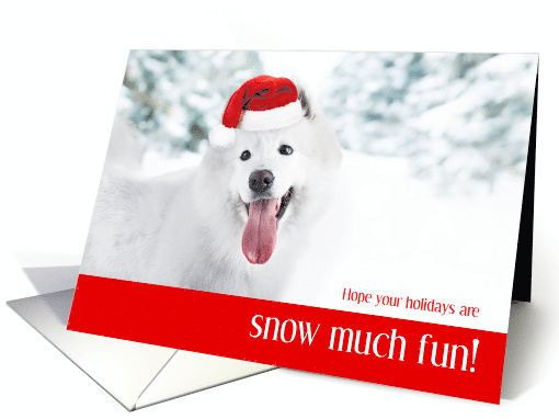 Snow Much Fun Dog Holiday card (1593924)