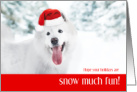 Snow Much Fun Dog Holiday card
