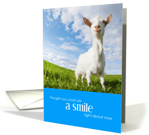 Cute Smiling Goat Encouragement card (1609682)