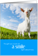 Cute Smiling Goat Encouragement card