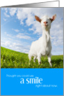 Cute Smiling Goat Encouragement card