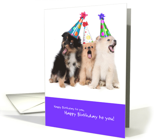 Funny Our Singing is a Little Ruff Happy Birthday from Group card