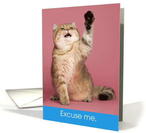 Funny Cat Tell Me When the Election is Over card (1655180)