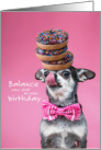 Funny Balance Your Diet Puppy with Doughnuts and Sprinkles Birthday card