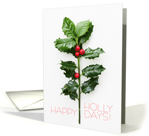 Happy Holly Days card (1655328)