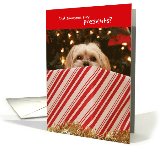 Cute Puppy Peeking Out of Christmas Present card (1657538)