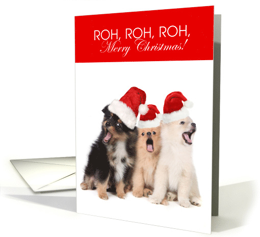 Funny Dogs Roh Roh Roh Merry Christmas card (1657542)
