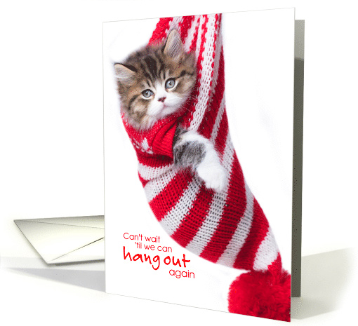 Covid 19 Cute Cat Cant Wait Til We Can Hang Out Again Christmas card
