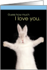 Cute Guess How Much I Love You Easter Bunny card