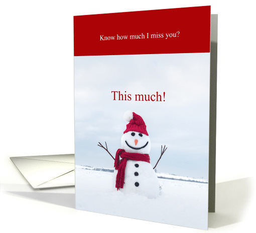 Cute Snowman I Miss You This Much Christmas card (1658050)