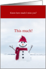 Cute Snowman I Miss You This Much Christmas card