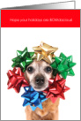 BOWdacious Cute Doggie Christmas card