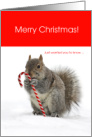 Funny Merry Christmas Squirrel Bird Feeder Skills On Point card