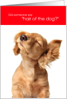 Funny Hair of the Dog Golden Retriever Shaking Itself Happy New Year card