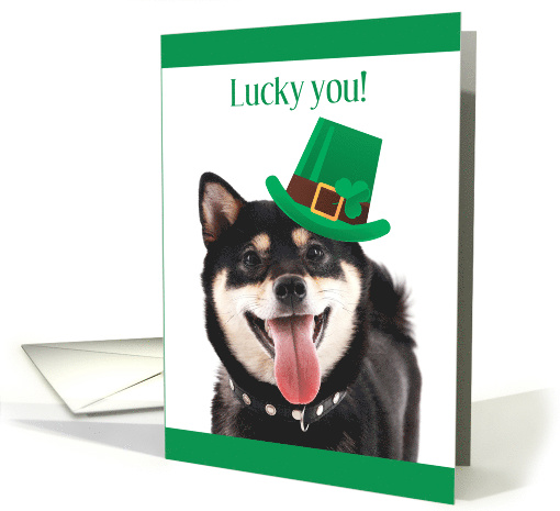 Lucky You with Cute Dog Wearing Tilted Green St Patrick's Day Hat card