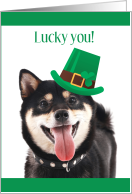 Lucky You with Cute Dog Wearing Tilted Green St Patrick’s Day Hat card