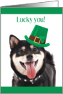 Lucky You with Cute Dog Wearing Tilted Green St Patrick’s Day Hat card