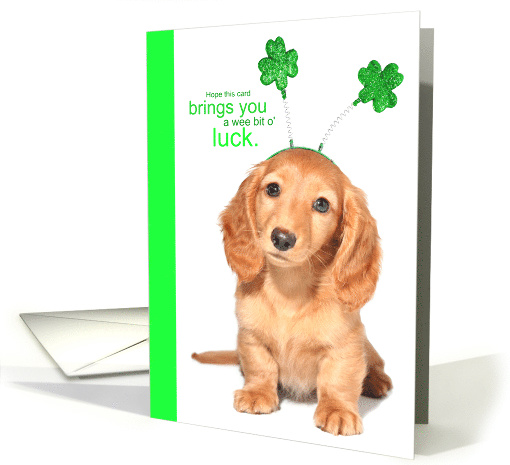 Funny Cute Wee Bit of Luck Puppy Springy Shamrocks St... (1660796)