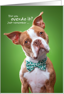 Funny Hair of the Dog with Bow Tie and Cocked Head St Patricks Day card