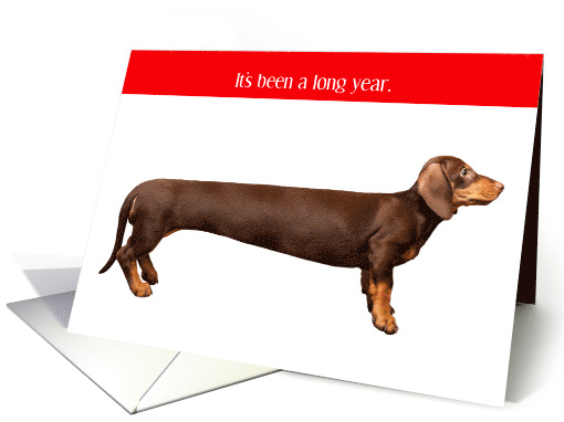 Funny Exaggerated Length Dachshund Its Been a Long Year... (1661648)