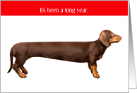 Funny Exaggerated Length Dachshund Its Been a Long Year New Year’s Day card