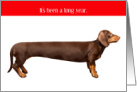 Funny Exaggerated Length Dachshund Its Been a Long Year New Year’s Day card