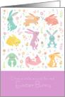 Cute Draw a Circle Around the Real Easter Bunny Activity card