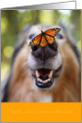 Spirit Joy Companionship Love Loss of Pet Sympathy Dog and Butterfly card