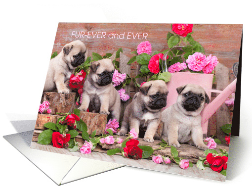 Fur-Ever and Ever Love Cute Pug Puppies and Flowers Valentine card