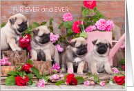 Fur-Ever and Ever Love Cute Pug Puppies and Flowers Valentine card