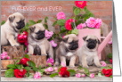 Fur-Ever and Ever Love Cute Pug Puppies and Flowers Valentine card