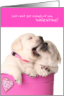 Cutest Puppies Can’t Get Enough of You Valentine card