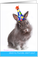 Easter Bunny Party Hat You Had to Steal My Thunder Birthday on Easter card