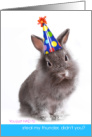 Easter Bunny Party Hat You Had to Steal My Thunder Birthday on Easter card