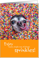 Cute Doggie with Sprinkles for Someone Who’s Super Sweet Birthday card