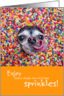 Cute Doggie with Sprinkles for Someone Who’s Super Sweet Birthday card