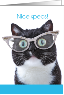 Nice Specs Cute Cat...