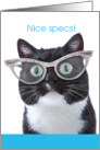 Nice Specs Cute Cat with Glasses New Glasses card
